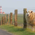 Jugendherberge Toenning * Tönning