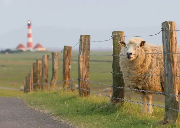 Jugendherberge Tönning * Tönning